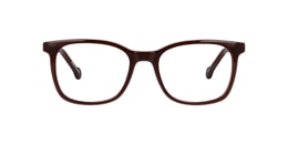 Clearly Glasses LION