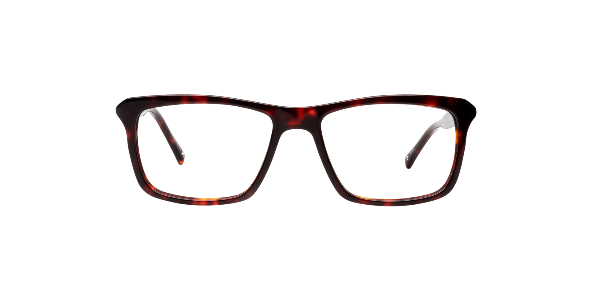 Clearly ANDROMEDA Havana, Size: S