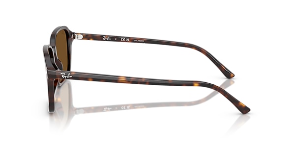 RB2231 RAIMOND