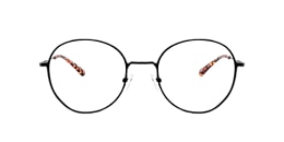 Clearly Glasses PICTON