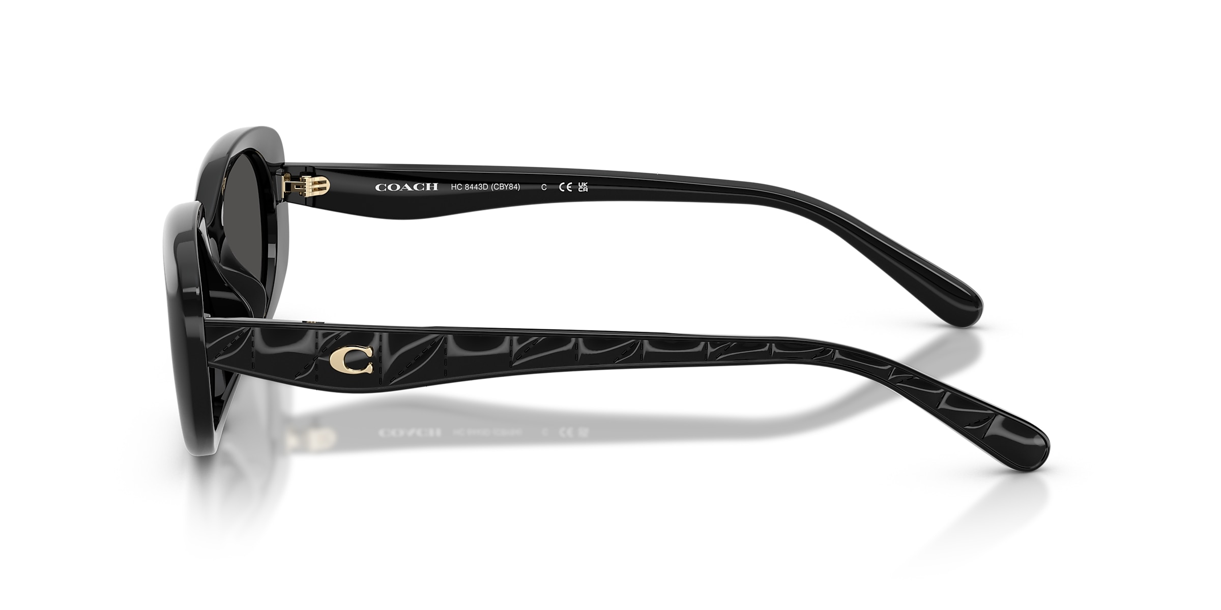 Coach Sunglasses HC8443D CBY84