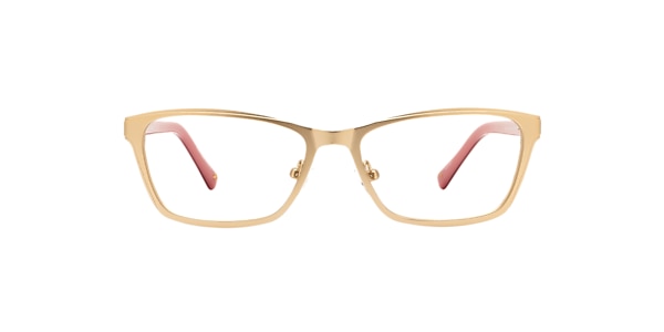 Clearly Glasses DELPHINUS