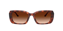 Coach Sunglasses HC8435U CBY82