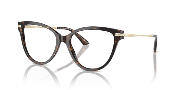 Jimmy Choo Glasses JC3001B