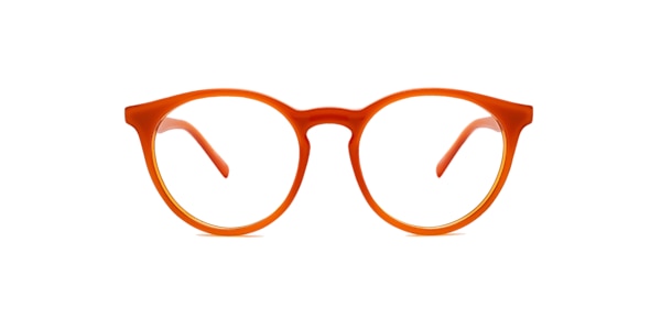 Clearly Glasses OWL