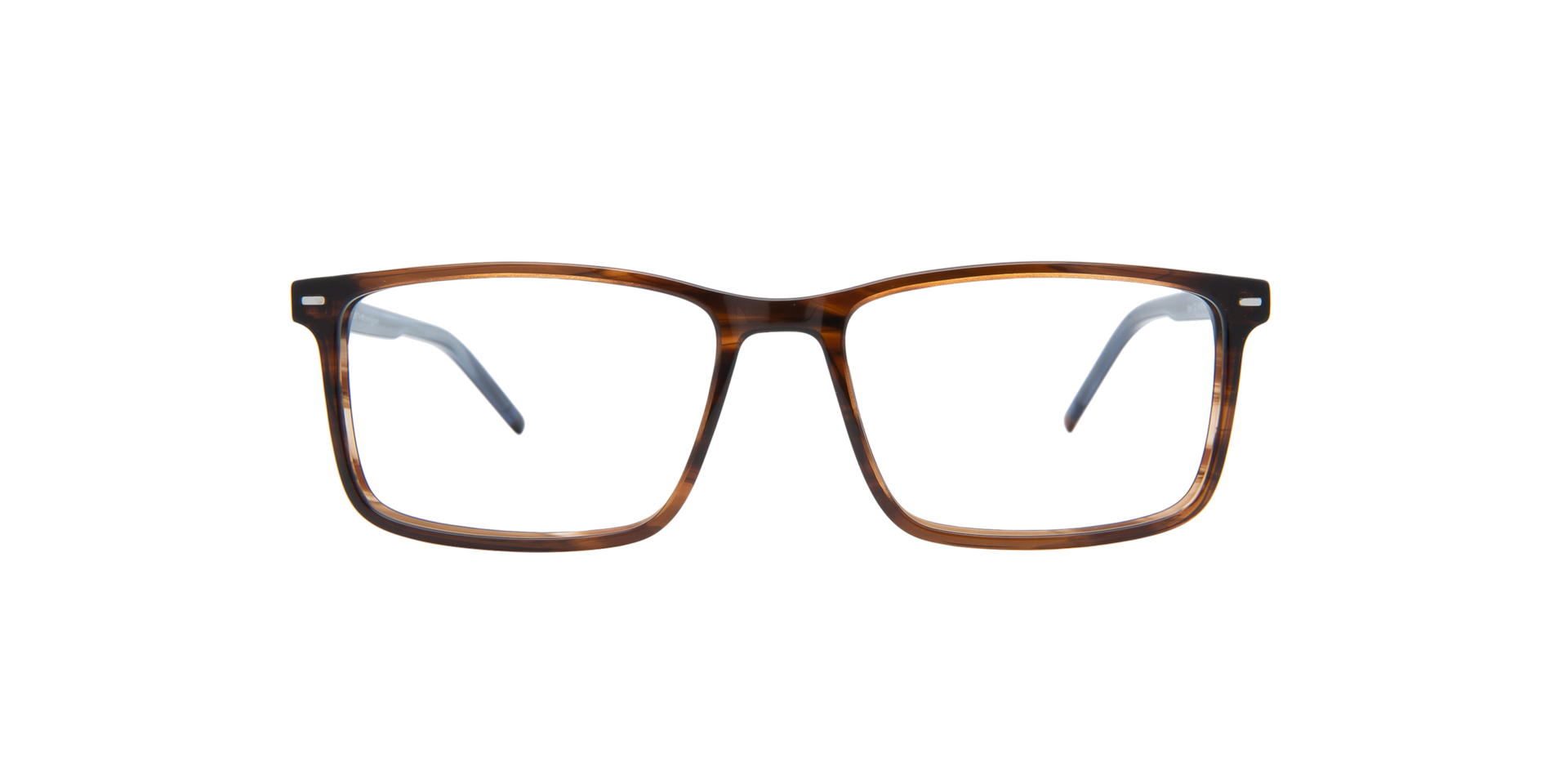 Clearly ALDER Shiny Havana, Size: S