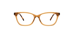 Clearly Glasses JANUS
