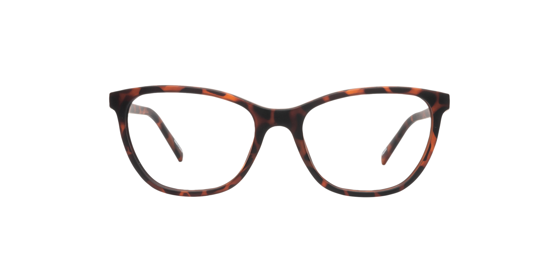 Clearly MALEO Tortoise, Size: XS