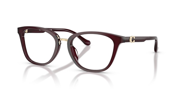 Coach Glasses HC6272U