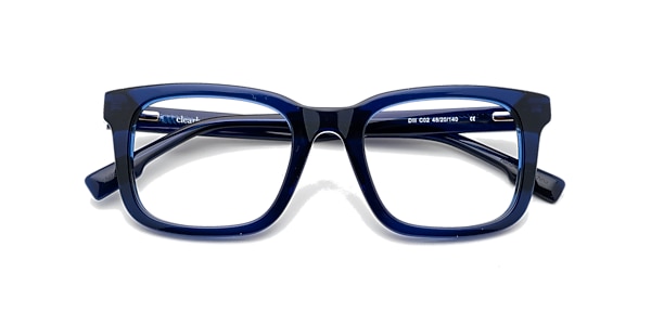 Clearly Glasses DILL