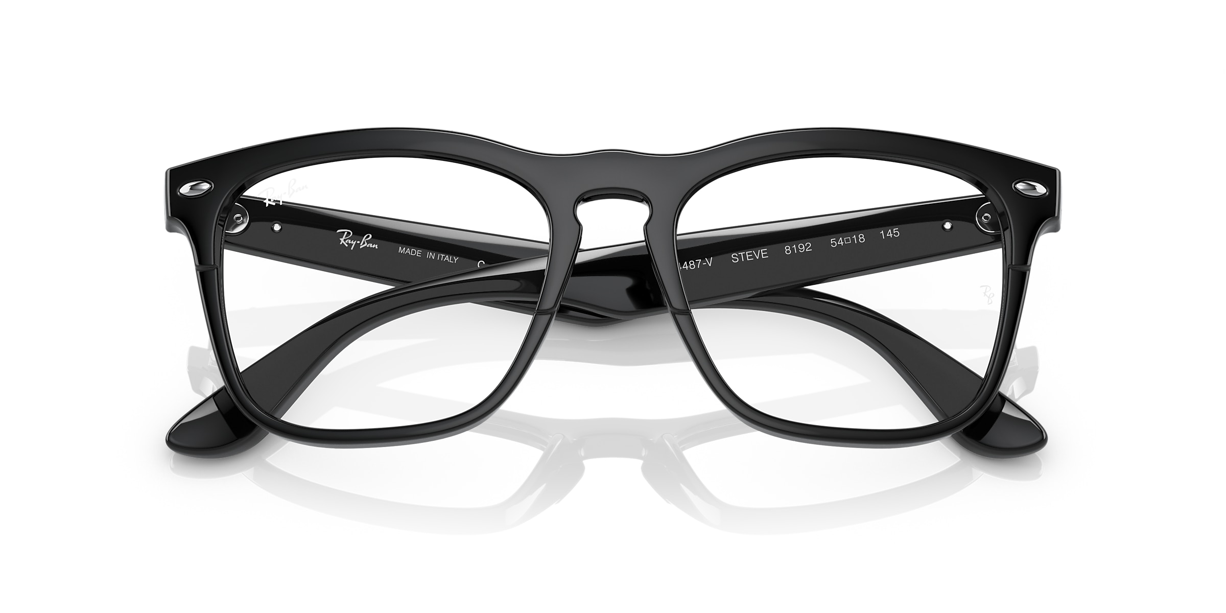 Ray-Ban Glasses RB4487V STEVE OPTICS