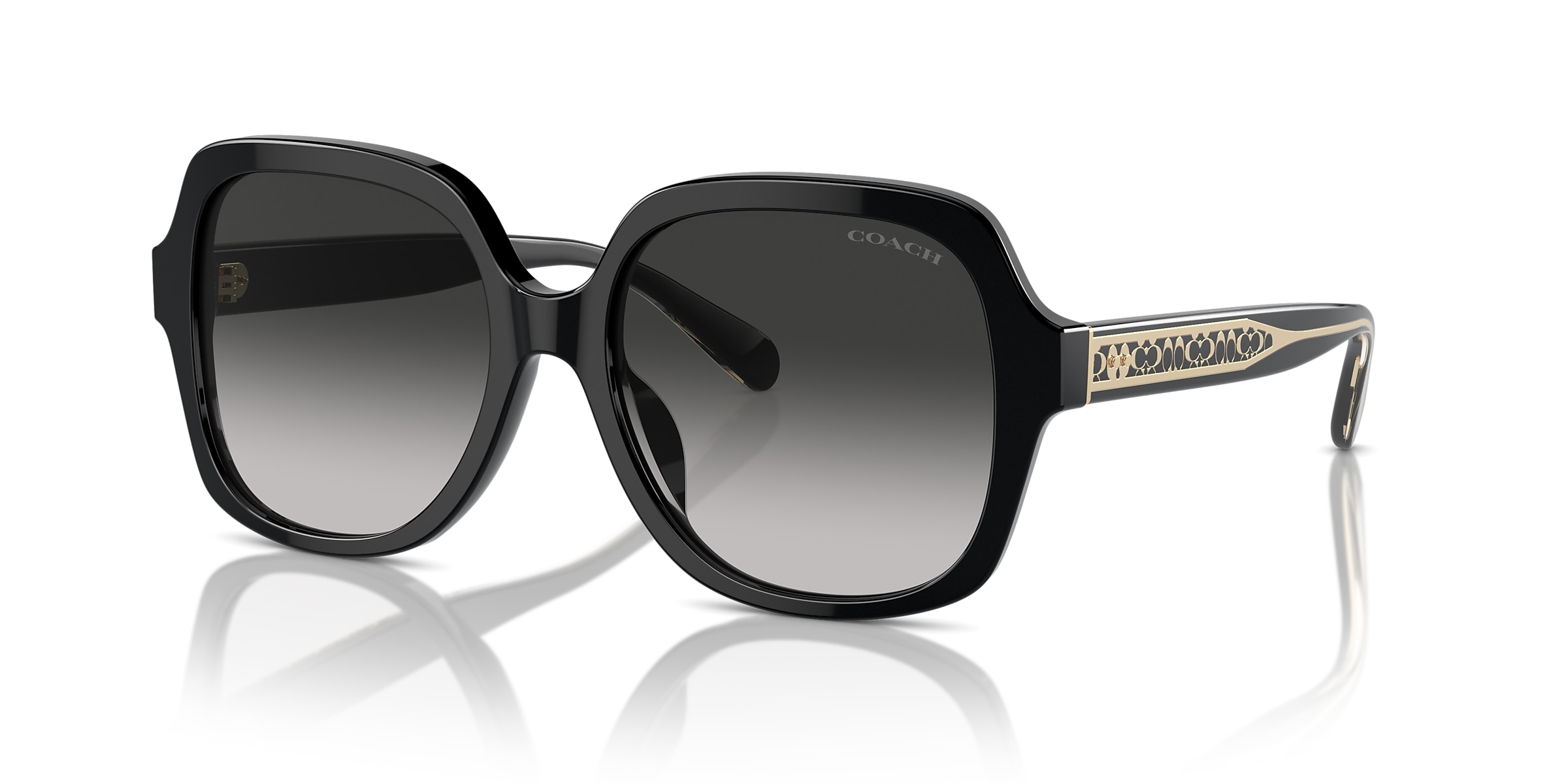 Coach Sunglasses HC8395U CR614