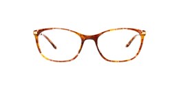 Clearly Glasses VERONICA