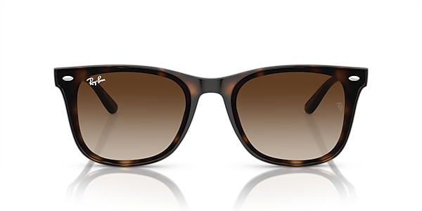 Ray-Ban Sunglasses RB4420