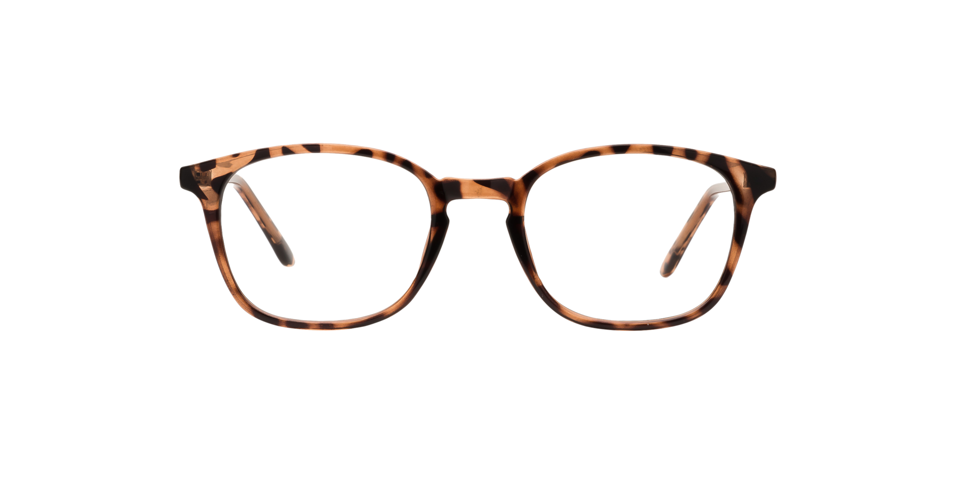 Clearly KENSINGTON Tortoise, Size: