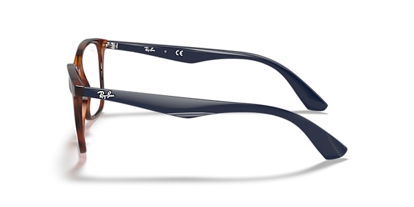 RB7066 OPTICS