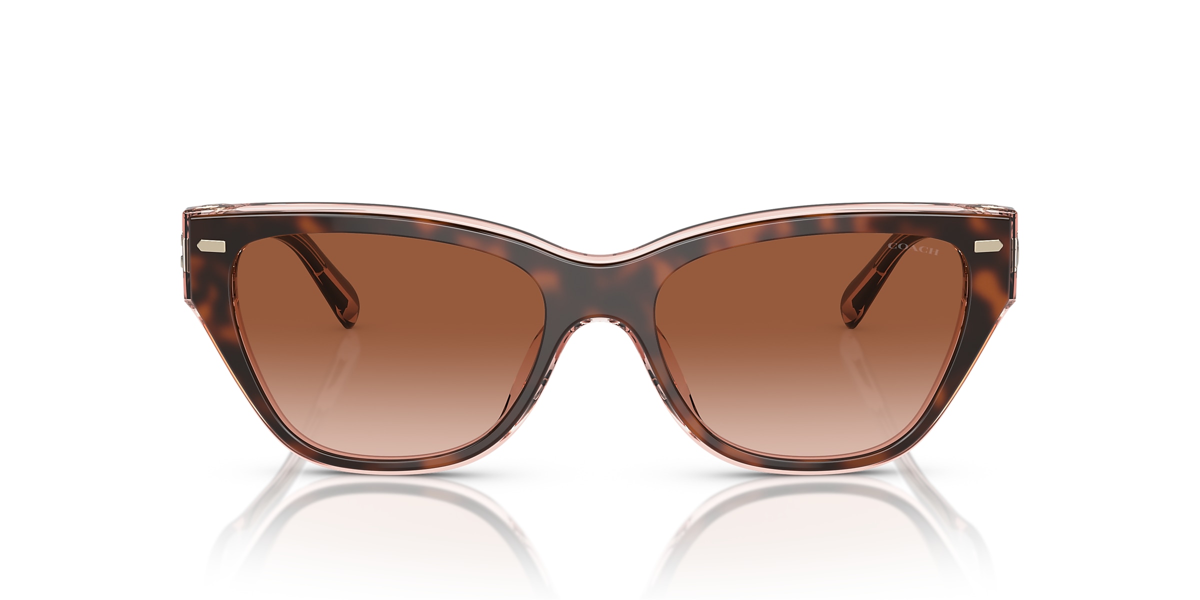Coach Sunglasses HC8370U CH570