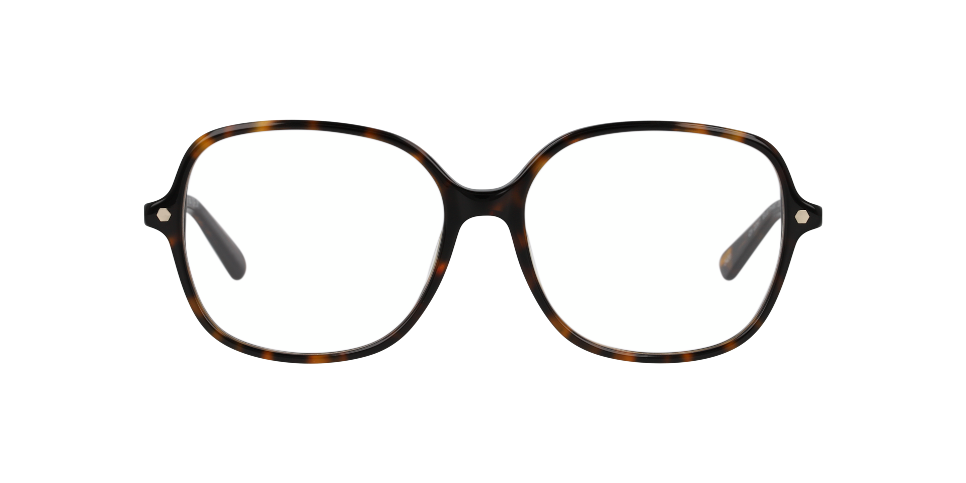Clearly ELEPHANT Havana Brown, Size: S