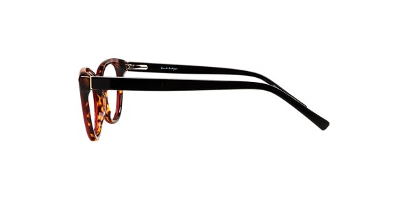 Clearly Glasses WILLOW