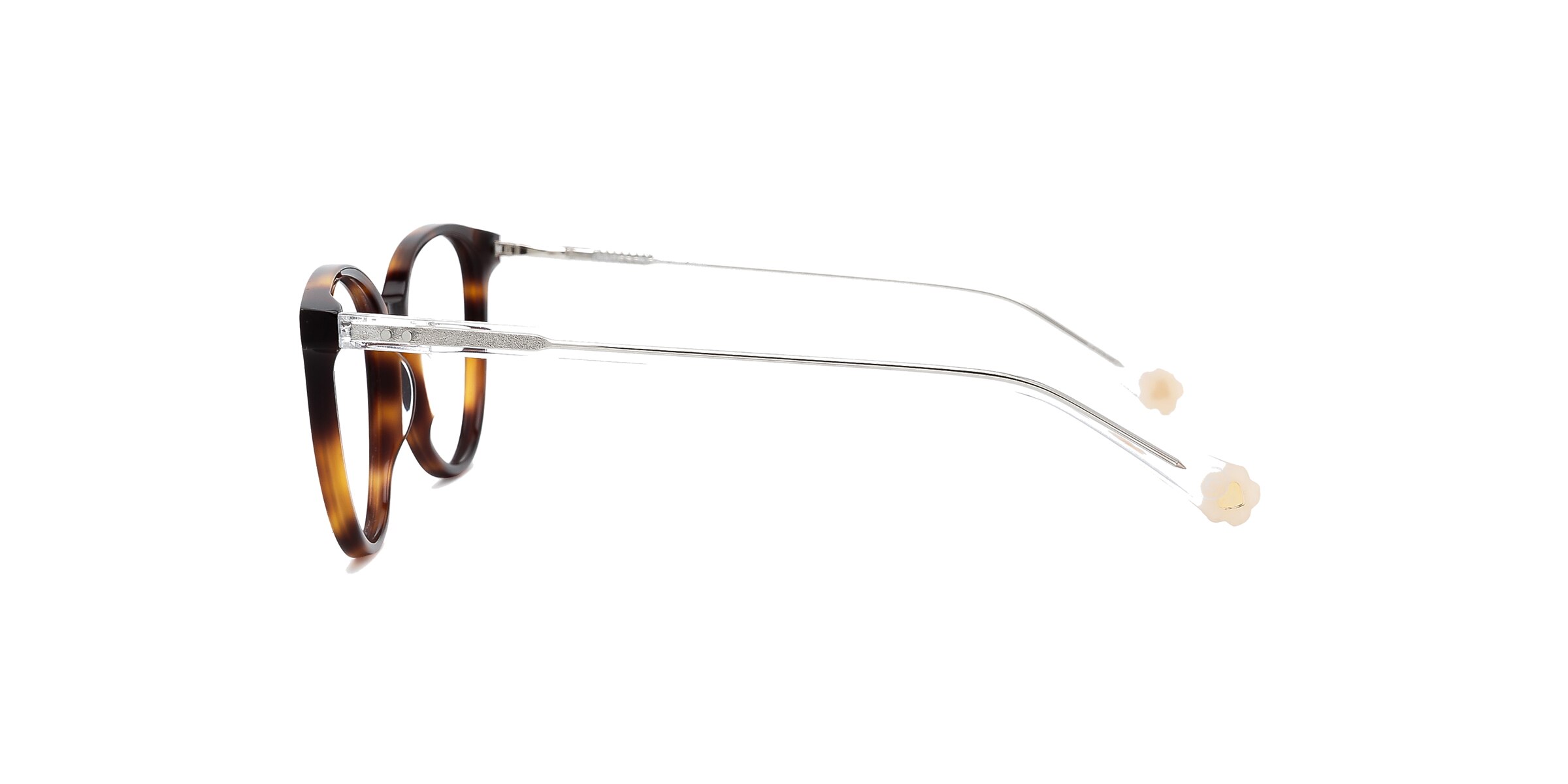 Clearly Glasses SPRUCE