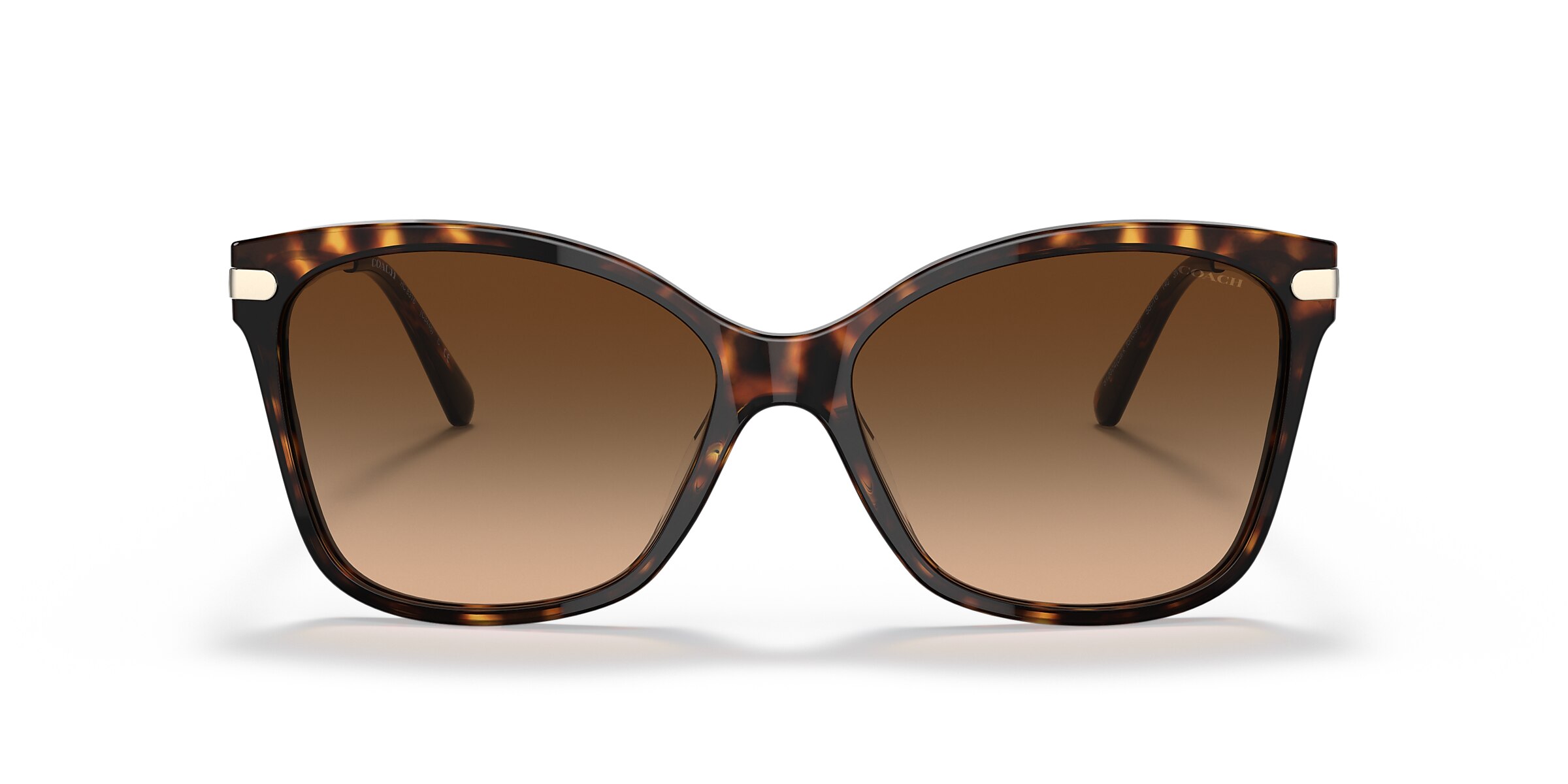 Coach Sunglasses HC8316 C3446