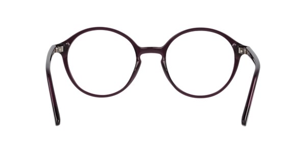 Clearly Glasses SHORE PINE