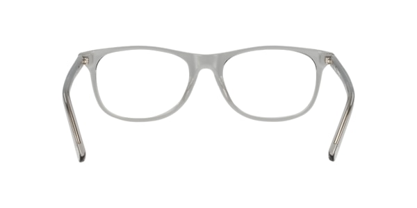 Clearly Glasses LUNA