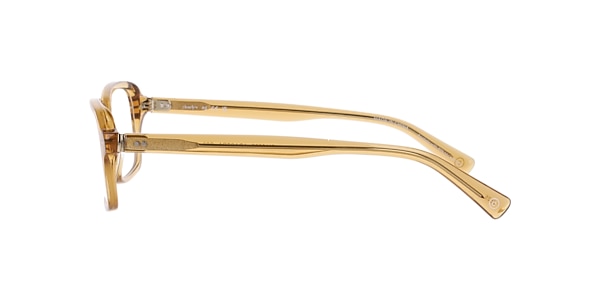 Clearly Glasses ADASTRA