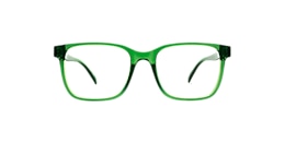 Clearly Glasses ALBATROSS