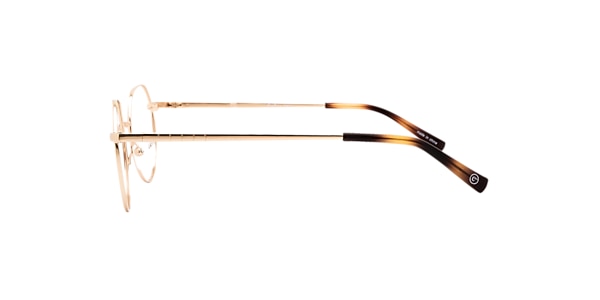 Clearly Glasses BUCHANS