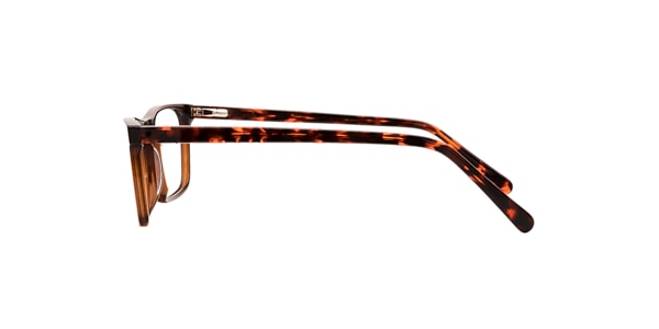Clearly Glasses RED DEER