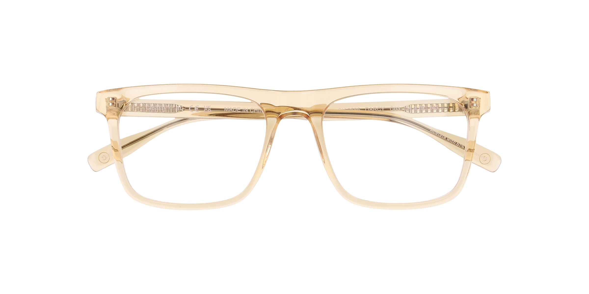 Clearly Glasses DARCY
