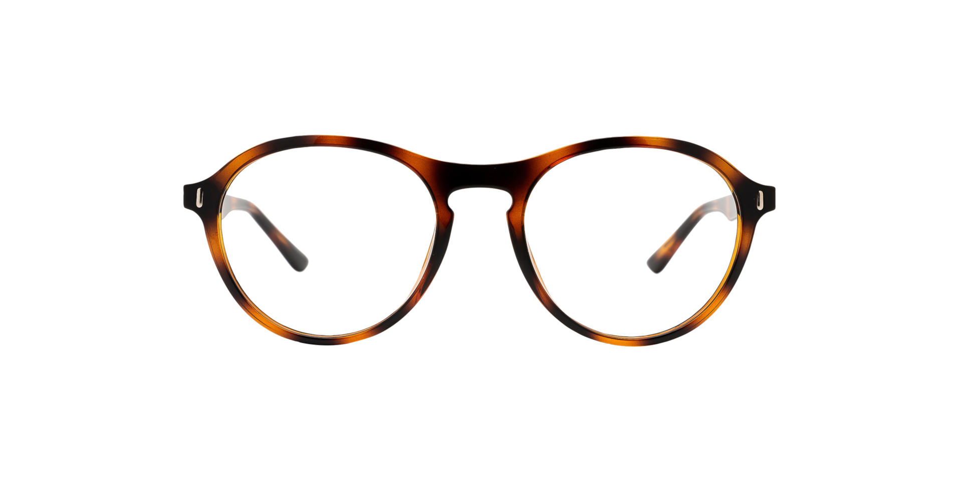 Clearly BARCALDINE Tortoise, Size: