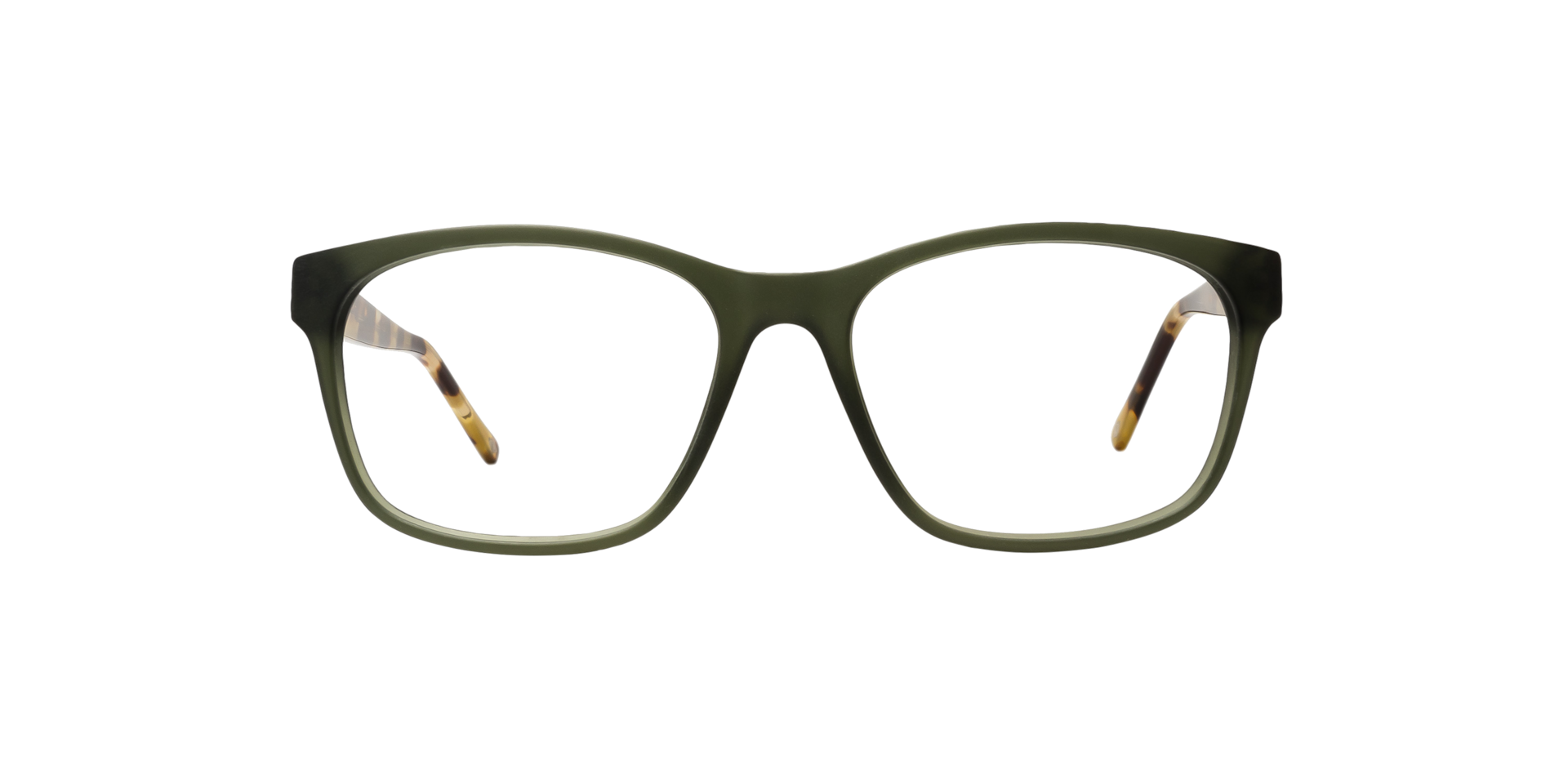 Clearly TURTLE BAY Olive Tortoise, Size: S