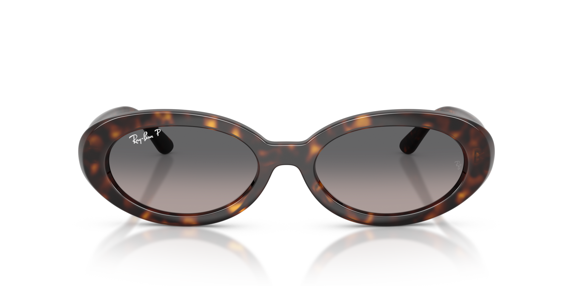 Ray-Ban RB2223 Havana, Size: L