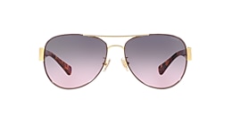Coach Sunglasses HC7059 L138