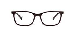 Clearly Glasses ABIES ALBA