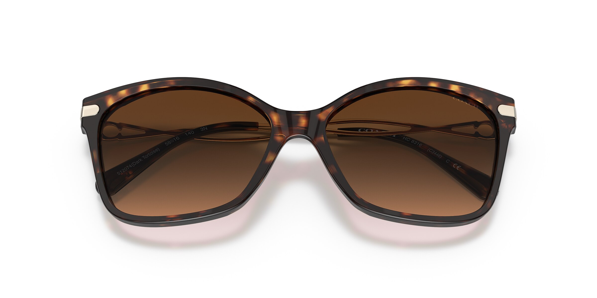 Coach Sunglasses HC8316 C3446