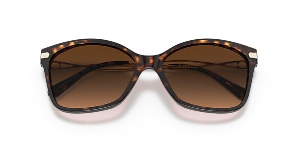 Coach Sunglasses HC8316 C3446
