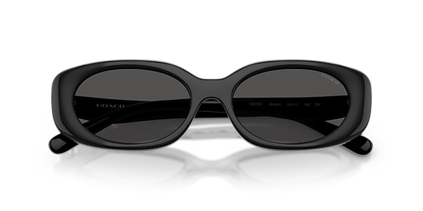 Coach Sunglasses HC8443D CBY84