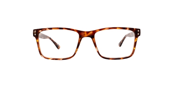 Clearly Glasses TORQUAY