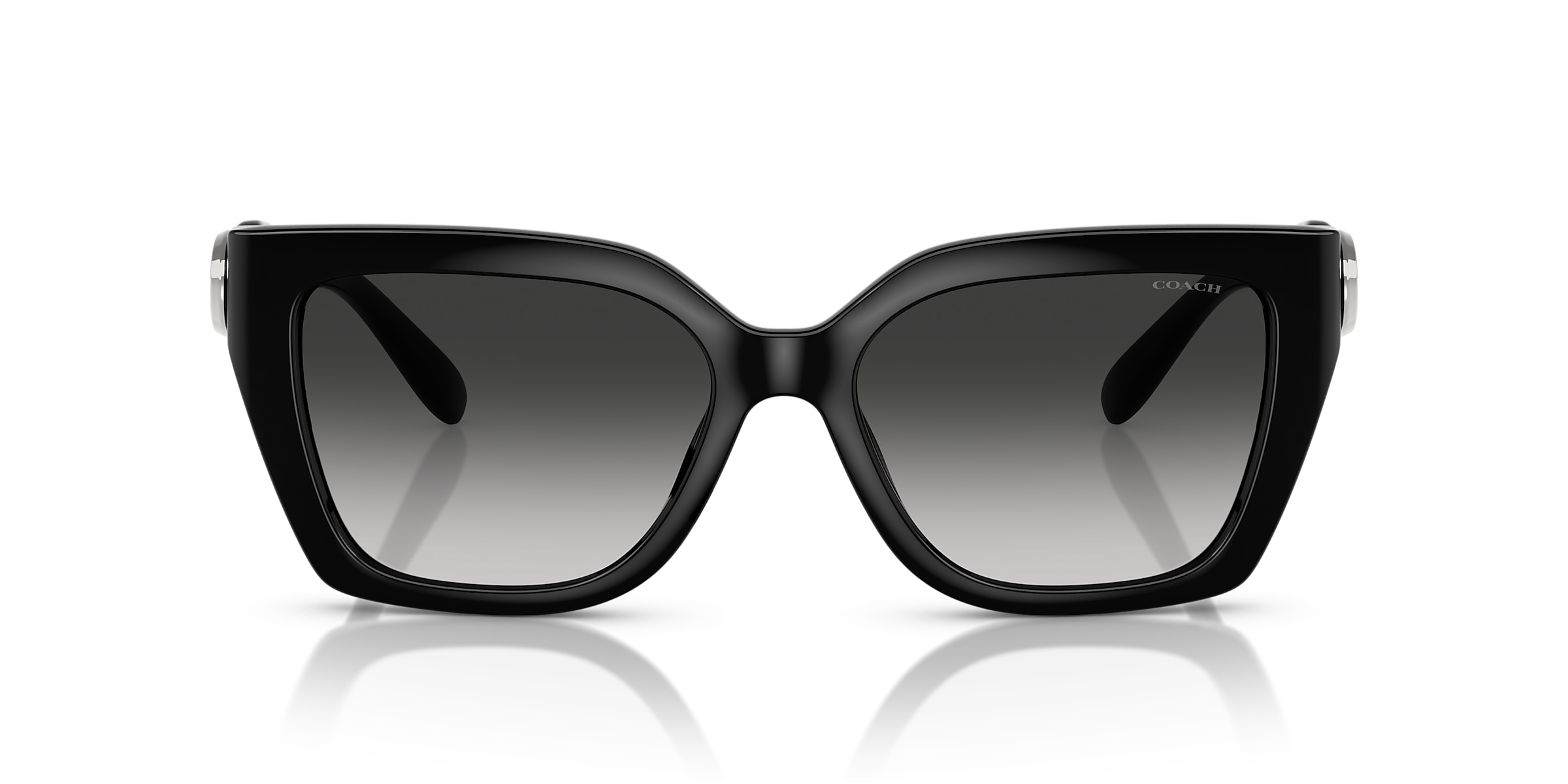 Coach Sunglasses HC8408U CW195