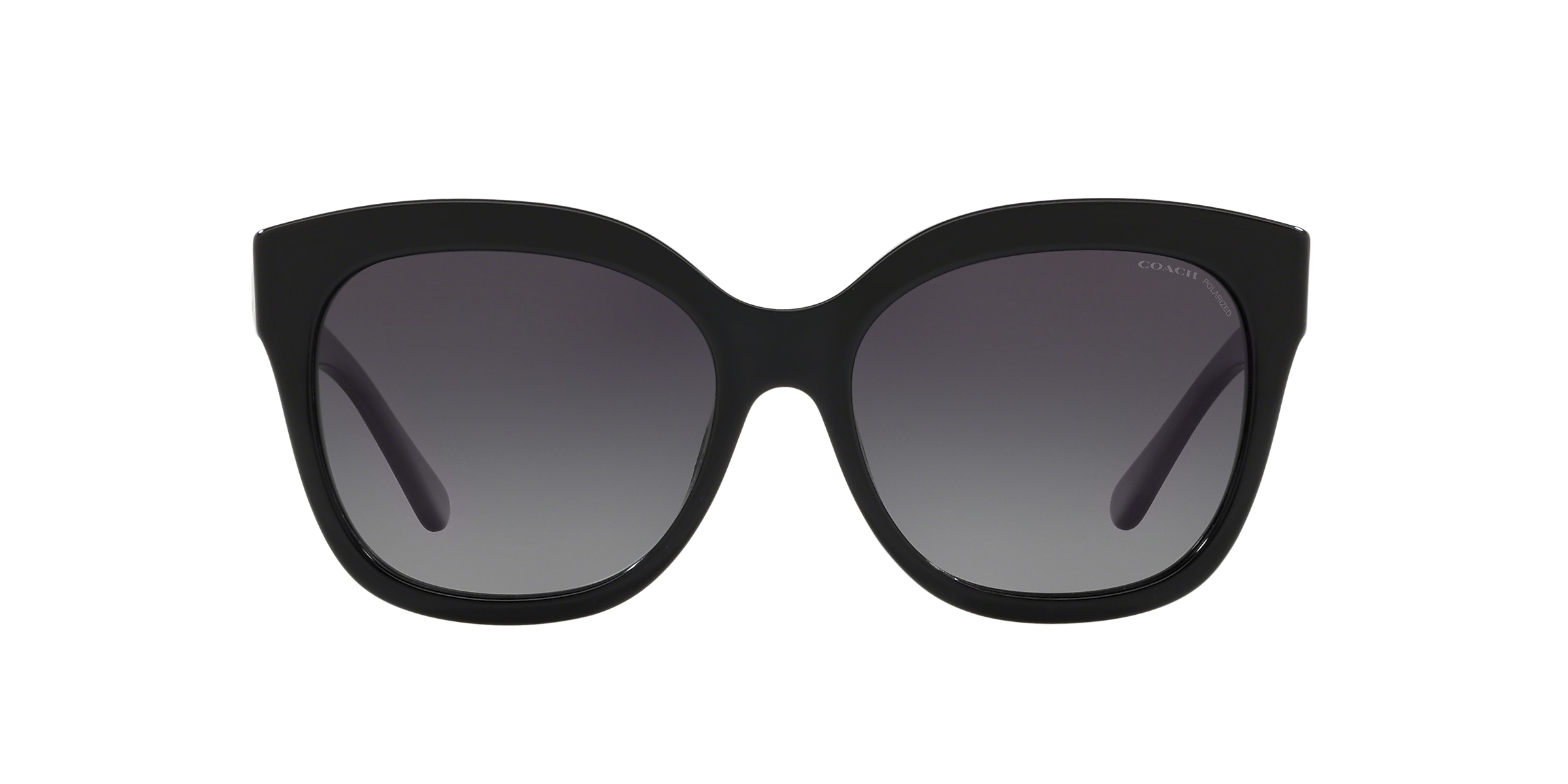 Coach Sunglasses HC8264 L1083