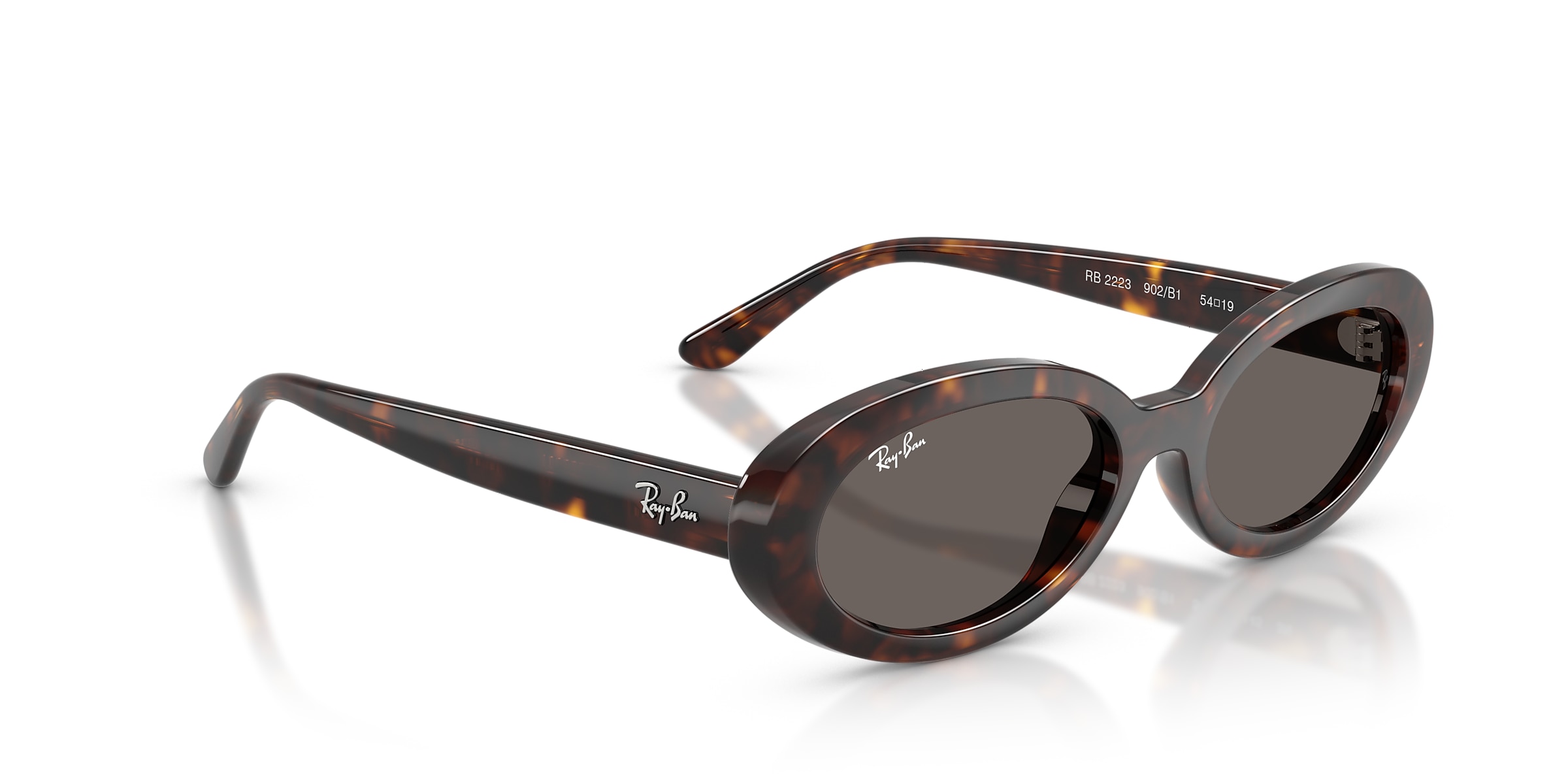 Ray-Ban Sunglasses RB2223