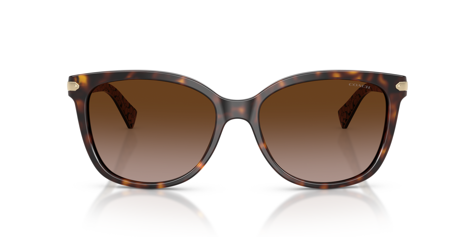 Coach HC8132 L109 Dark Tortoise, Size: L