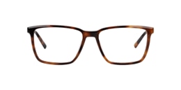 Clearly Glasses CEDAR CREST
