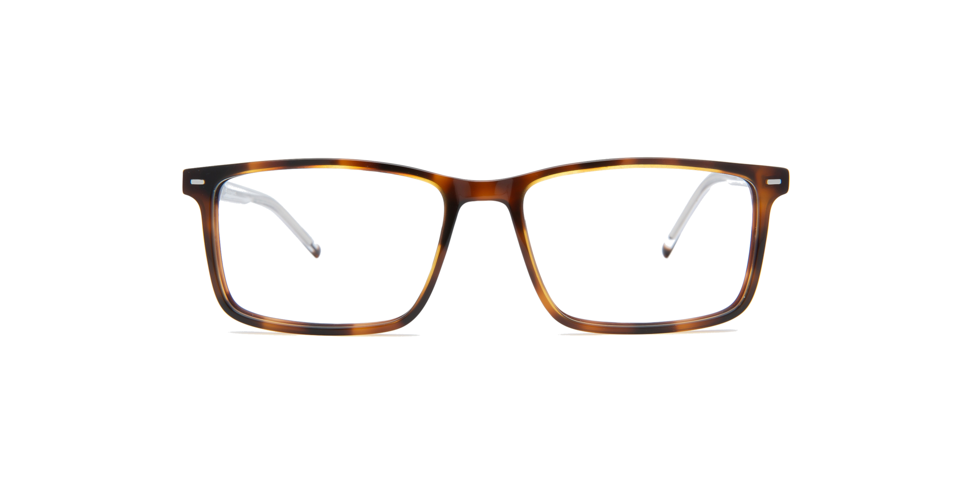 Clearly ALDER Brown, Size: S