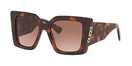 Gucci Sunglasses GG2039S
