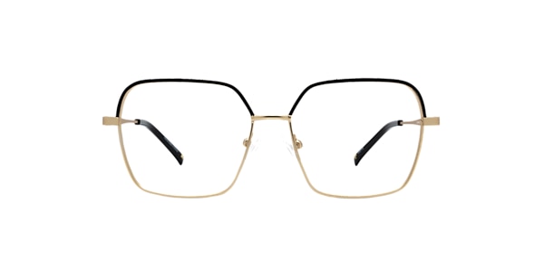 Clearly Glasses ERINOME