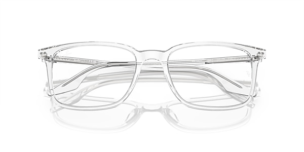 RB5421 OPTICS